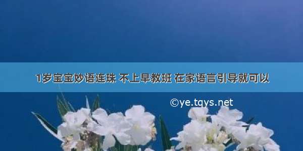 1岁宝宝妙语连珠 不上早教班 在家语言引导就可以