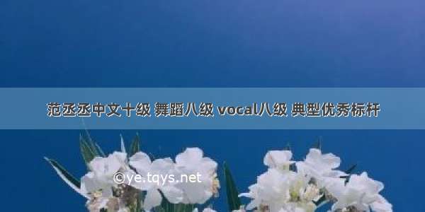 范丞丞中文十级 舞蹈八级 vocal八级 典型优秀标杆