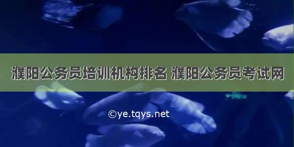 濮阳公务员培训机构排名 濮阳公务员考试网