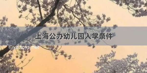 上海公办幼儿园入学条件