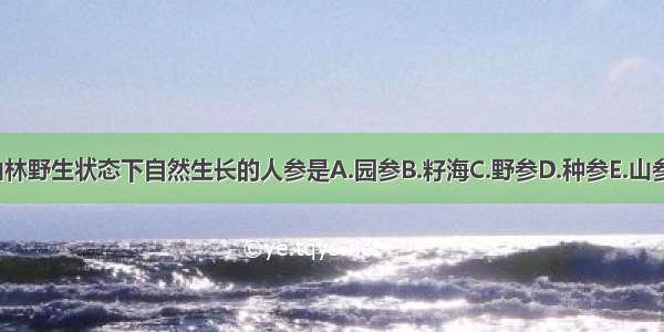 播种在山林野生状态下自然生长的人参是A.园参B.籽海C.野参D.种参E.山参ABCDE