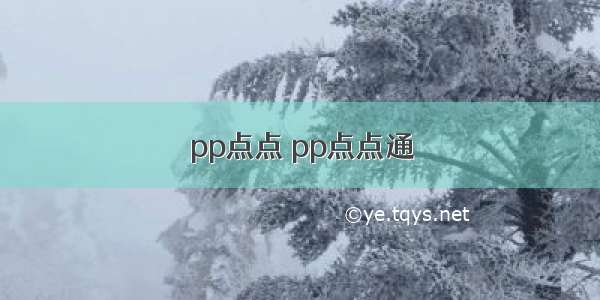 pp点点 pp点点通