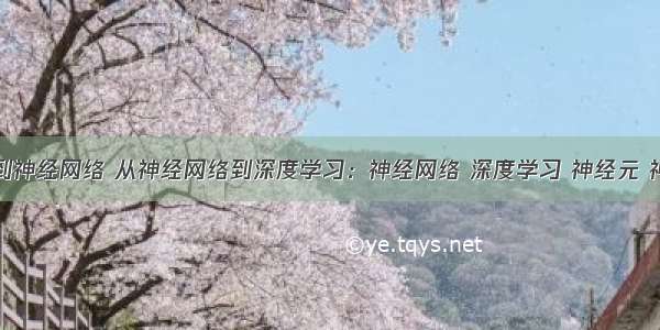 从神经元到神经网络 从神经网络到深度学习：神经网络 深度学习 神经元 神经元模型