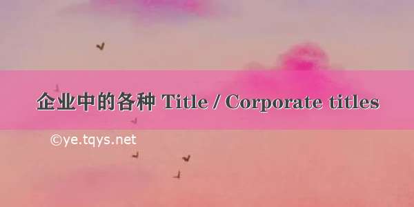 企业中的各种 Title / Corporate titles