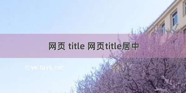 网页 title 网页title居中