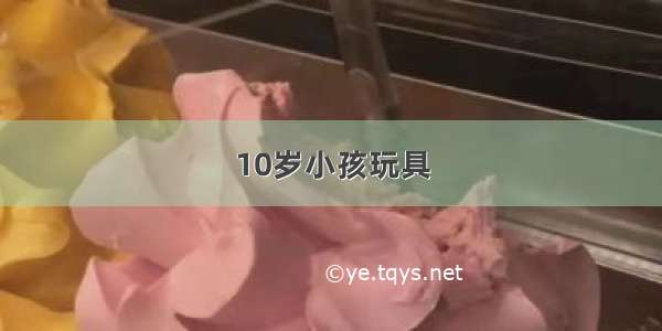 10岁小孩玩具