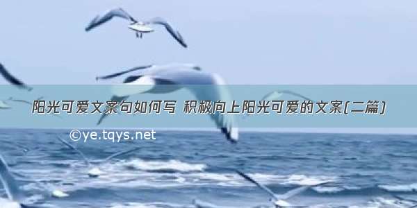 阳光可爱文案句如何写 积极向上阳光可爱的文案(二篇)