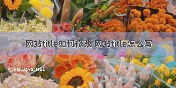 网站title如何修改 网站title怎么写