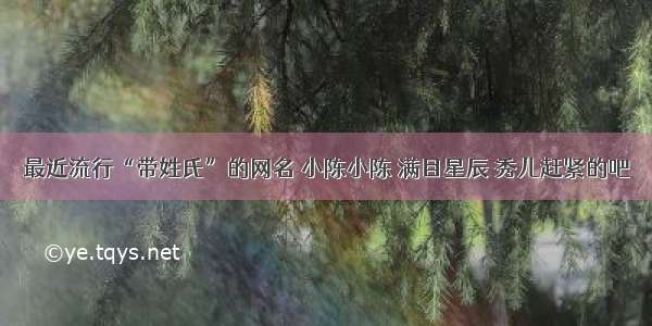 最近流行“带姓氏”的网名 小陈小陈 满目星辰 秀儿赶紧的吧