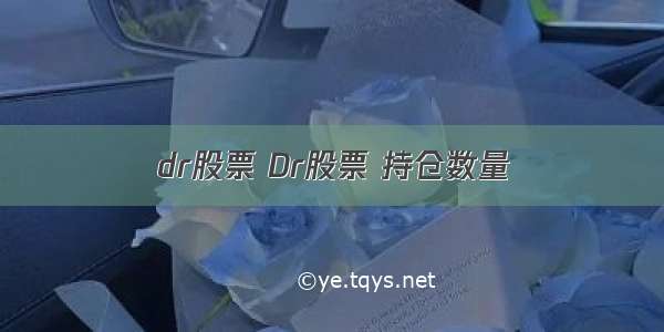 dr股票 Dr股票 持仓数量