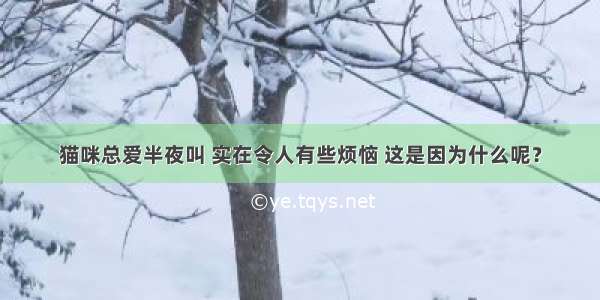 猫咪总爱半夜叫 实在令人有些烦恼 这是因为什么呢？