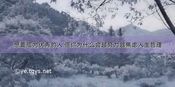 想要成为优秀的人 但你为什么会越努力越焦虑人生哲理