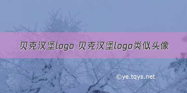 贝克汉堡logo 贝克汉堡logo类似头像