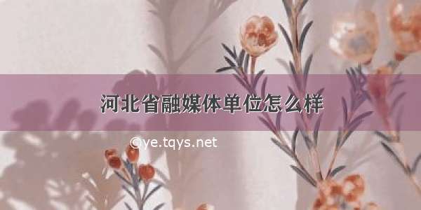 河北省融媒体单位怎么样