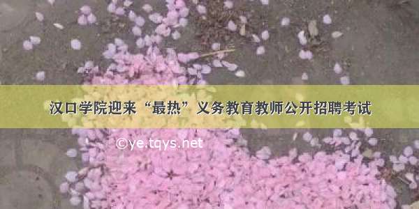 汉口学院迎来“最热”义务教育教师公开招聘考试