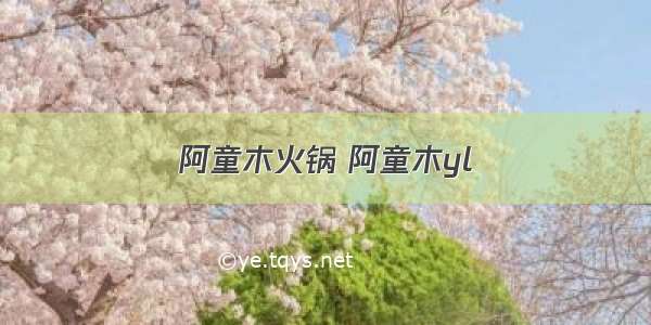 阿童木火锅 阿童木yl