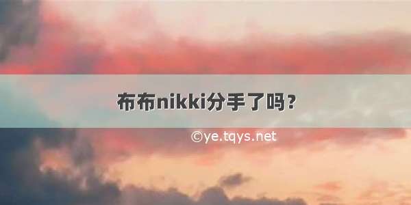 布布nikki分手了吗？