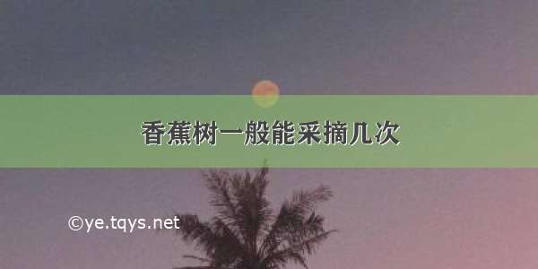 香蕉树一般能采摘几次