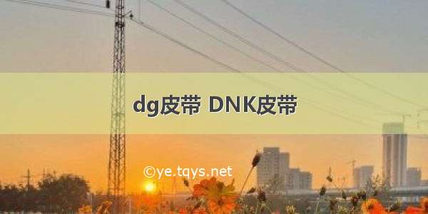 dg皮带 DNK皮带