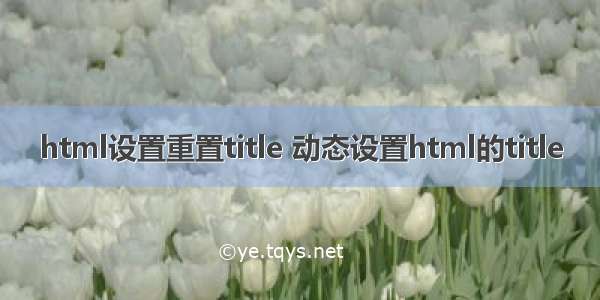 html设置重置title 动态设置html的title