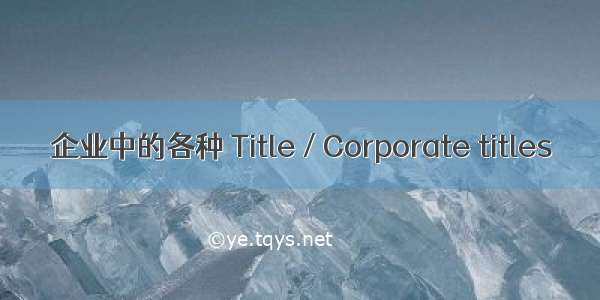 企业中的各种 Title / Corporate titles