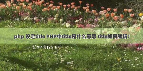 php 设定title PHP中title是什么意思 title如何编辑！