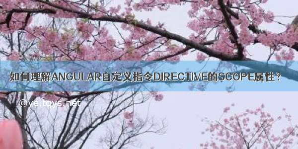 如何理解ANGULAR自定义指令DIRECTIVE的SCOPE属性？