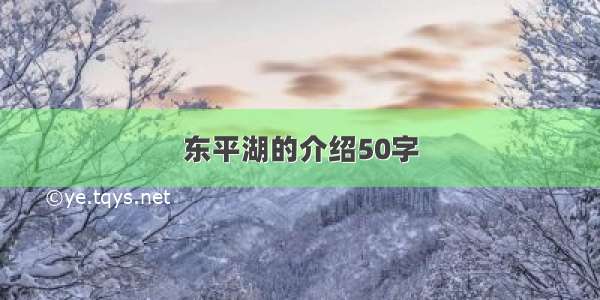 东平湖的介绍50字