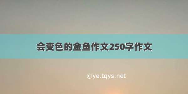 会变色的金鱼作文250字作文