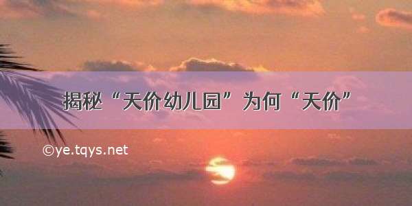 揭秘“天价幼儿园”为何“天价”