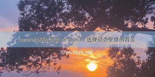 android壁纸背景 android – 选择动态壁纸的背景