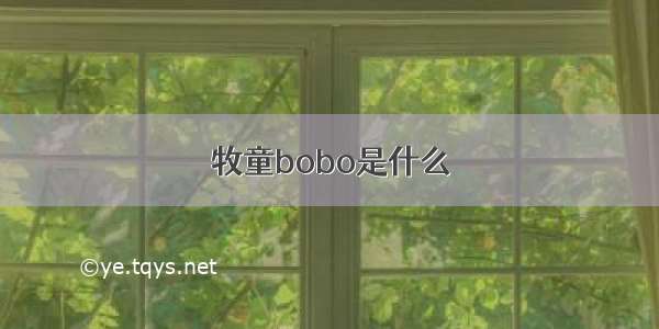 牧童bobo是什么