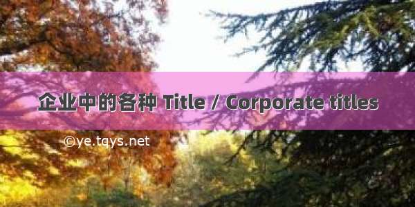 企业中的各种 Title / Corporate titles