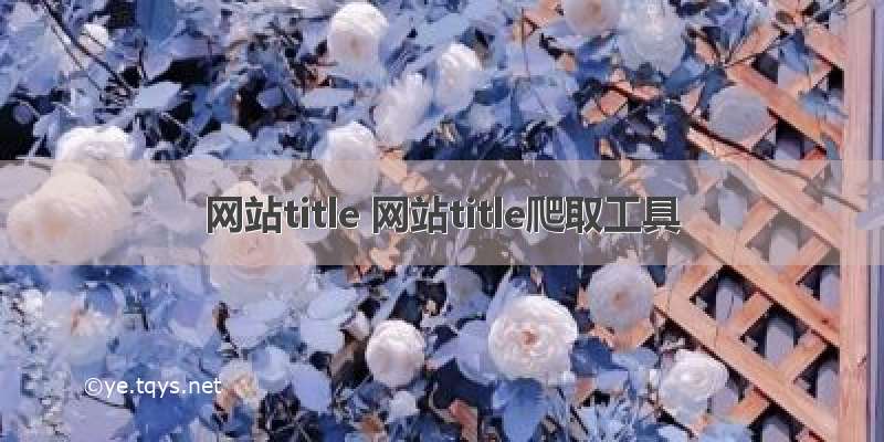 网站title 网站title爬取工具