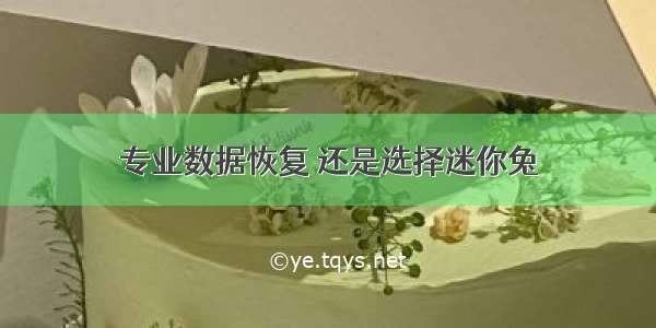 专业数据恢复 还是选择迷你兔