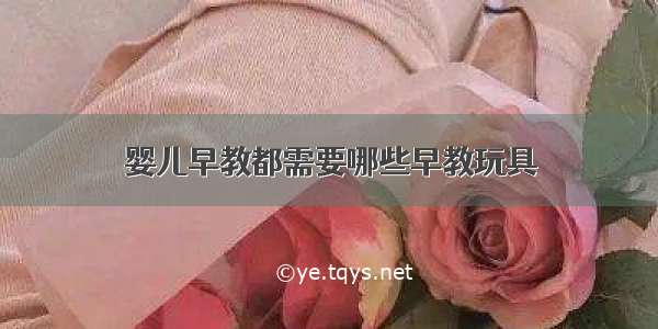 婴儿早教都需要哪些早教玩具