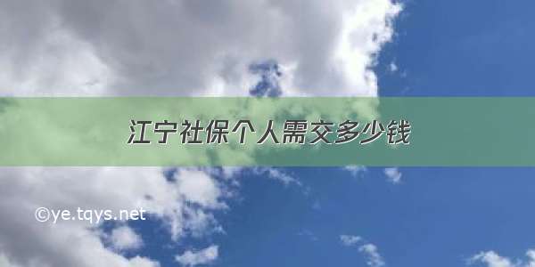 江宁社保个人需交多少钱