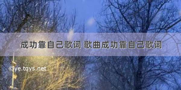 成功靠自己歌词 歌曲成功靠自己歌词