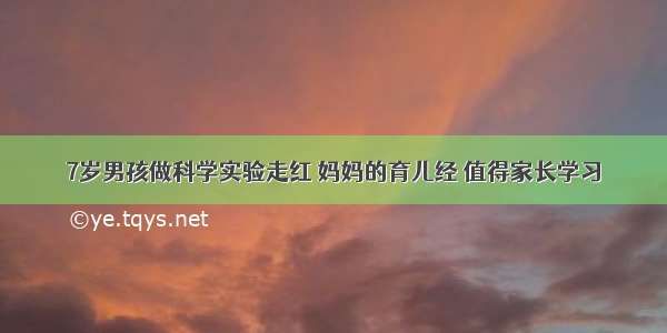 7岁男孩做科学实验走红 妈妈的育儿经 值得家长学习