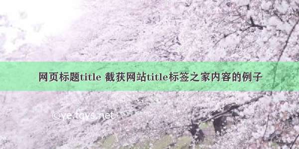 网页标题title 截获网站title标签之家内容的例子