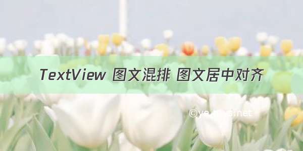 TextView 图文混排 图文居中对齐