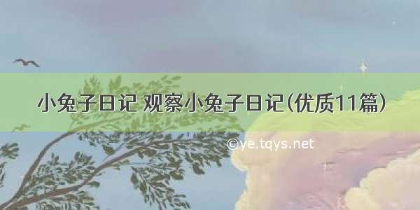 小兔子日记 观察小兔子日记(优质11篇)