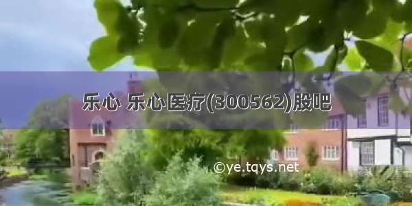 乐心 乐心医疗(300562)股吧