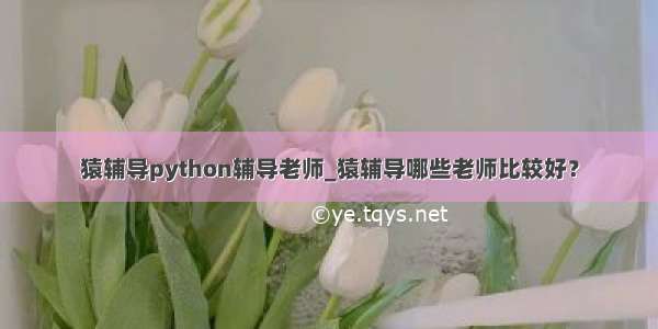 猿辅导python辅导老师_猿辅导哪些老师比较好？