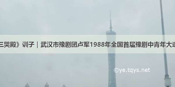 豫剧《三哭殿》训子｜武汉市豫剧团卢军1988年全国首届豫剧中青年大选赛实况