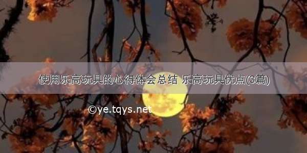 使用乐高玩具的心得体会总结 乐高玩具优点(3篇)