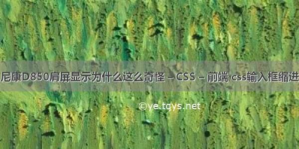 尼康D850肩屏显示为什么这么奇怪 – CSS – 前端 css输入框缩进