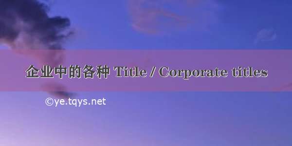 企业中的各种 Title / Corporate titles