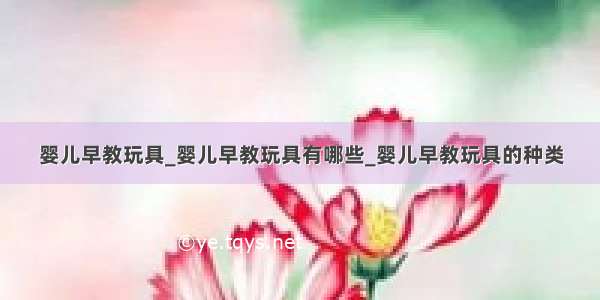 婴儿早教玩具_婴儿早教玩具有哪些_婴儿早教玩具的种类