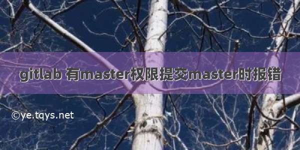 gitlab 有master权限提交master时报错